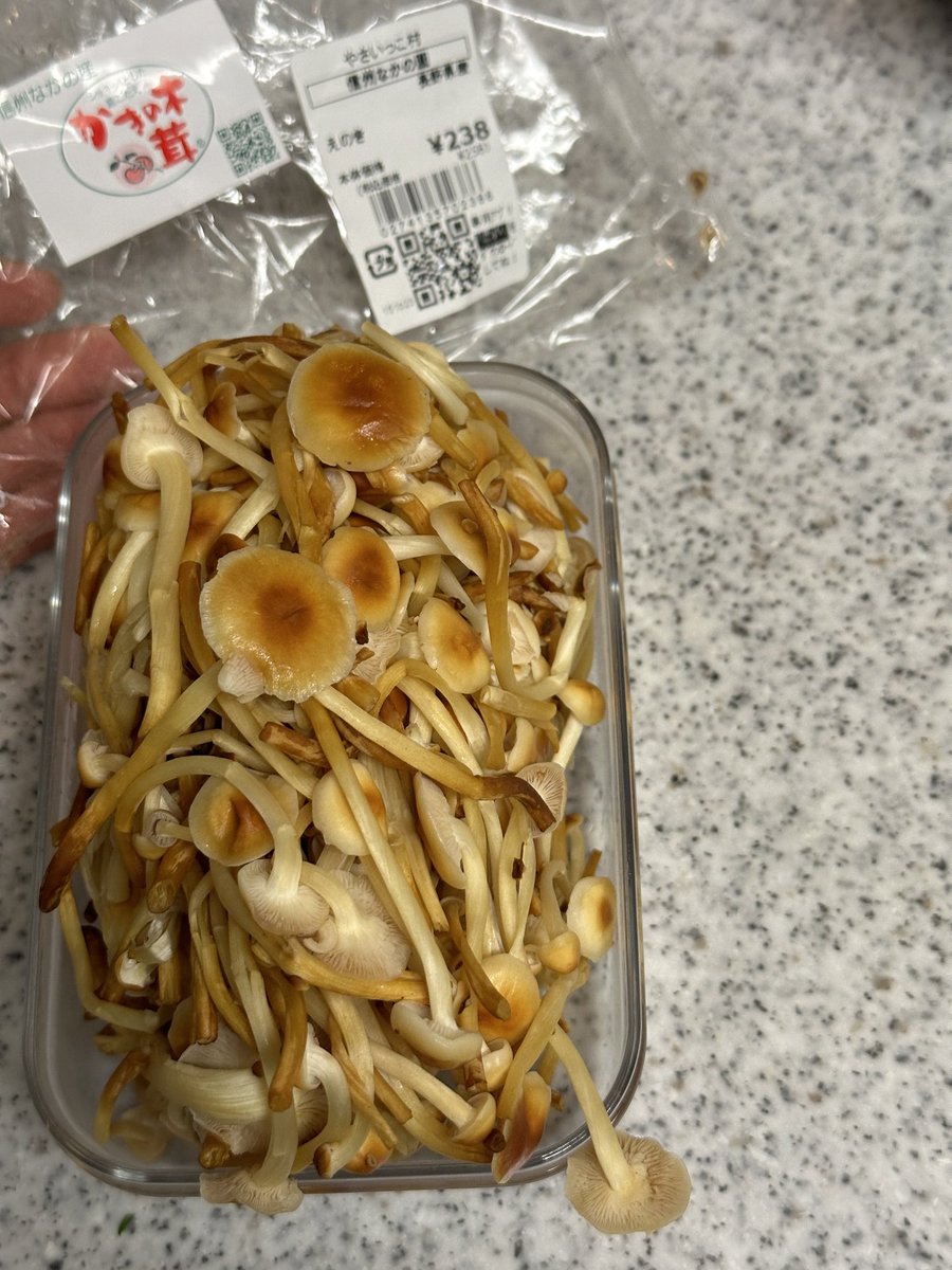 えのきたけページ スーパーで見つけたこのえのき、日光に当てて育つ原種に近い品種のかき