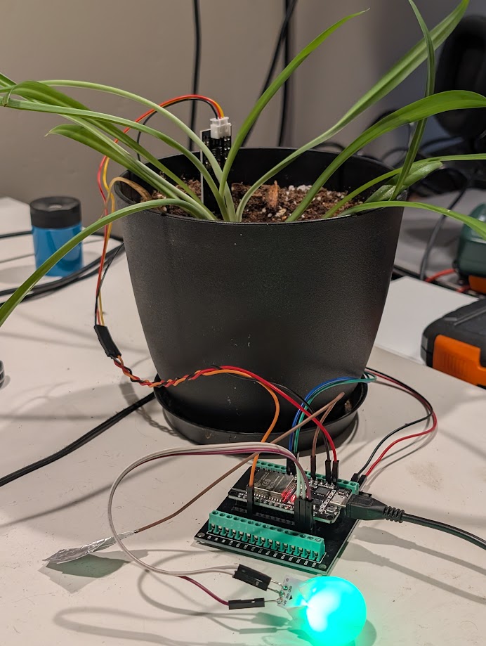 SeanPJackson's tweet image. #esp32project updating the plant sensor project