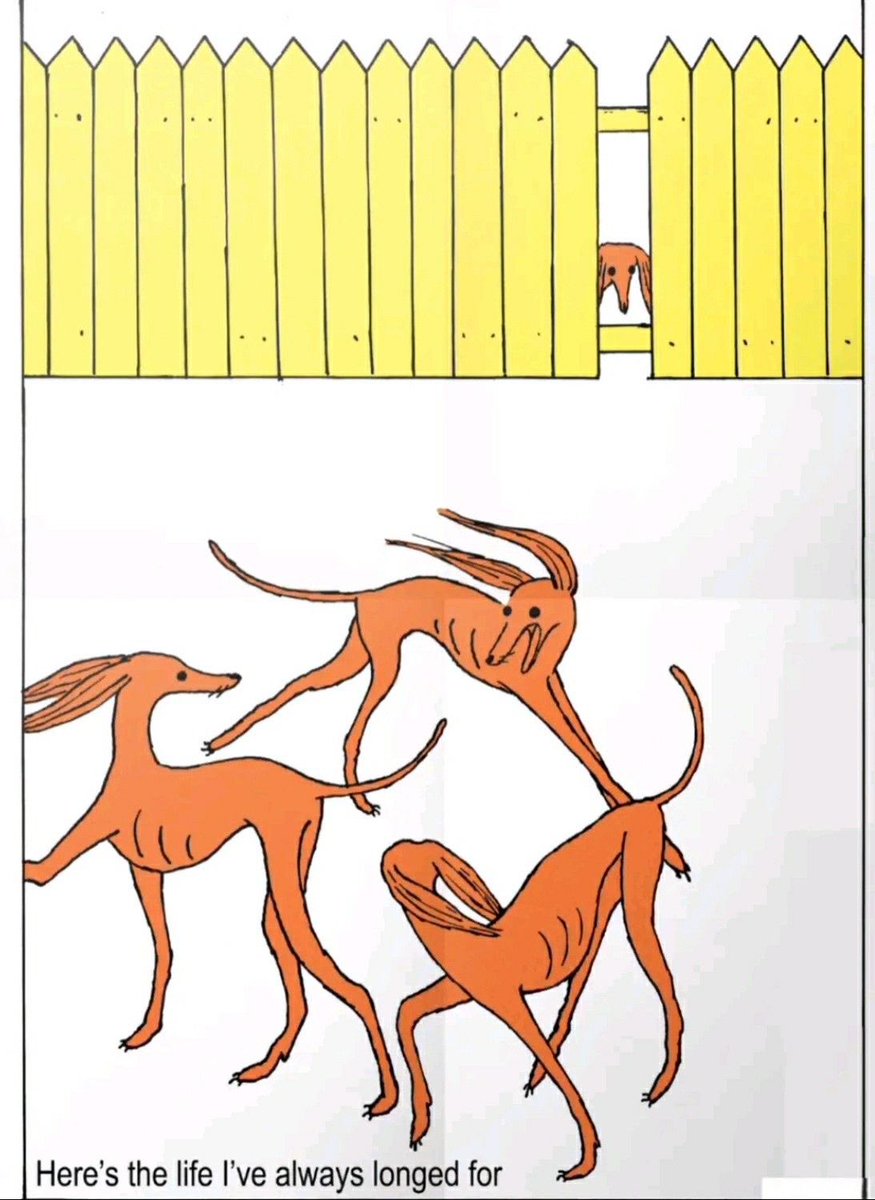 donaltopado's tweet image. 