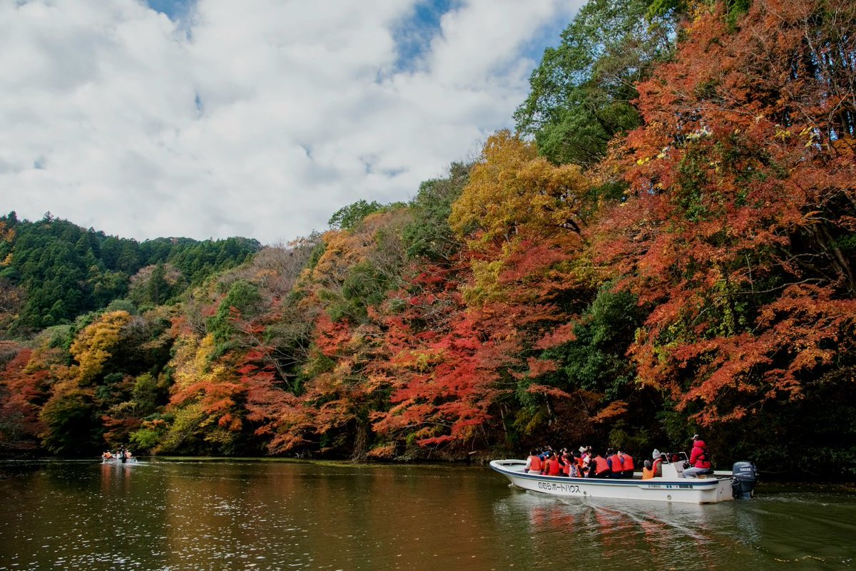亀山湖 オータムフェスティバル
🍁
今週22日(土)から君津市の亀山湖で紅葉クルーズがはじまります

陸上からでは見ることが出来ない秘境の紅葉スポット🍁👀
遊覧船🛥️で楽しむことが出来ます

詳しくは私がいつもお世話になっております、のむらボートさんのHPからどうぞ👇
nomuraboat.com/cruise/