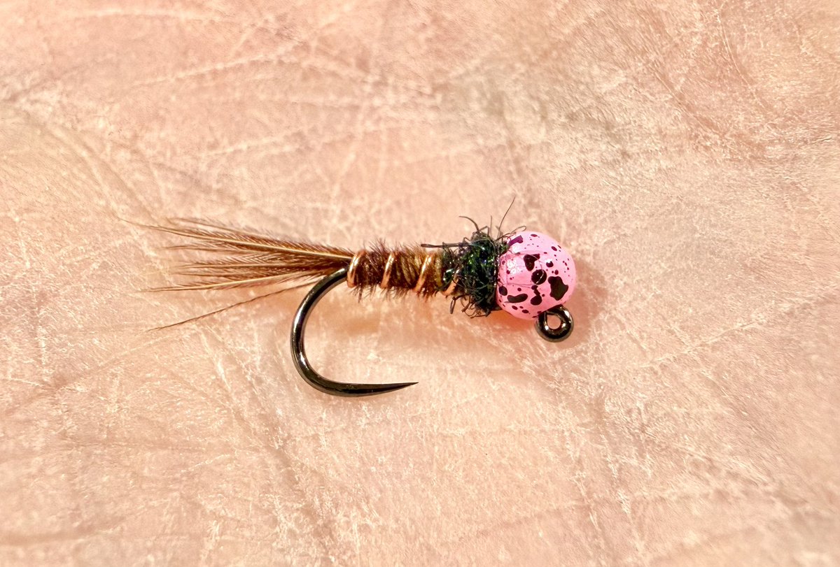 svutility's tweet image. Deadly pattern for fall and winter. Heck, anytime really #frenchie #flytying #euronymphing #gocougs