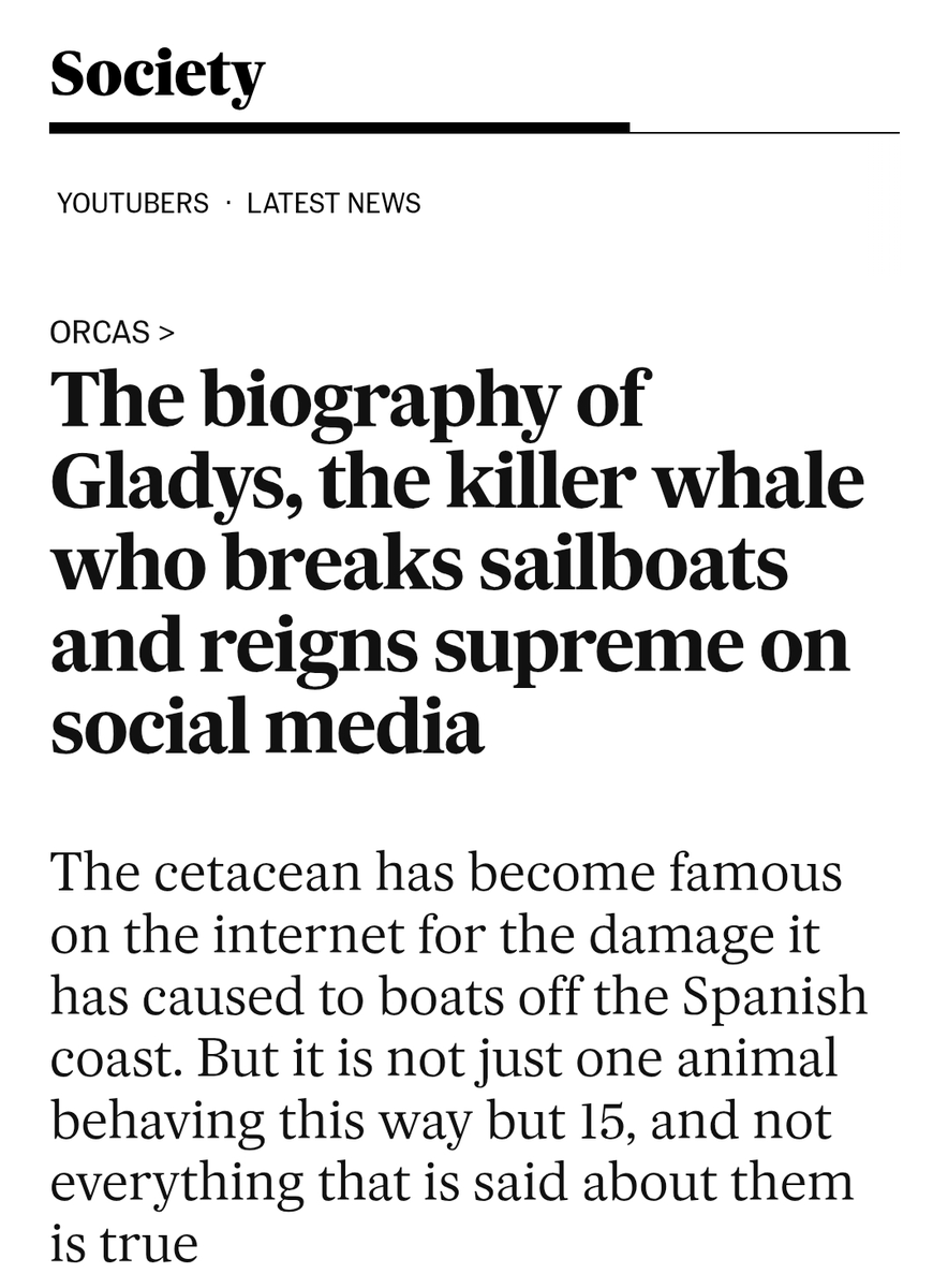SMCADMAN's tweet photo. #Gladis #Gladys #females #women #girls #wolf #wolves
The biography of Gladys, the killer whale who breaks sailboats and reigns supreme on social media
https://t.co/fjZ304XCvz
Iberian orca attacks
https://t.co/t2CgydB0u7 https://t.co/me3oDutD9i