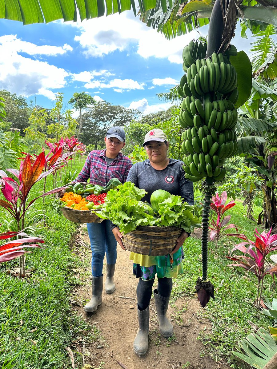 MURPHSLIFE tweet media