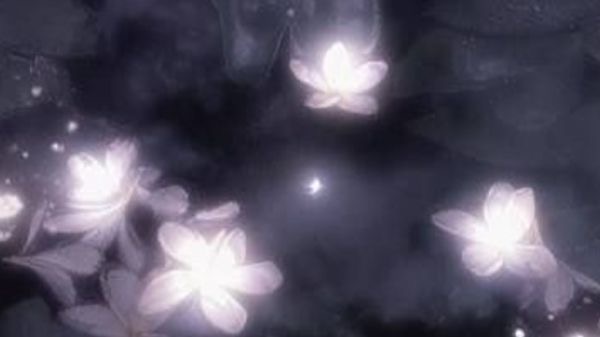 Eight_Tr1grams's tweet image. 