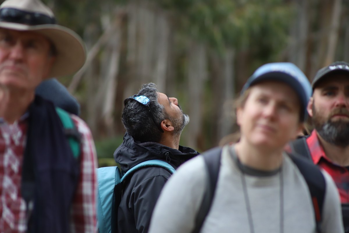 Tas_Land's tweet image. Over 100 people from our #community joined us for our co-hosted birding event with Inala Nature Tours on their beautiful property on South #BrunyIsland. Small flocks of #swiftparrots feeding on the ground &amp;amp; fluffy fledgling #fortyspottedpardalotes were 2 of the birding…