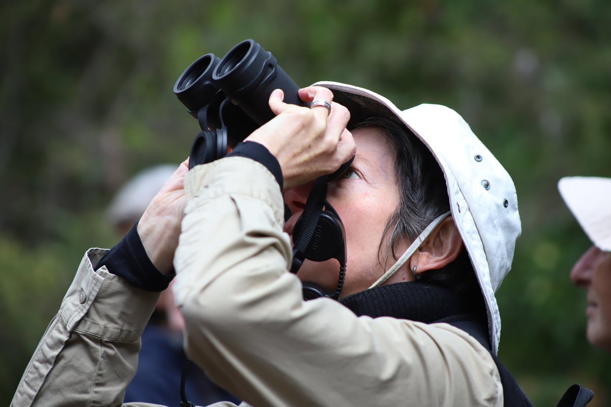 Tas_Land's tweet image. Over 100 people from our #community joined us for our co-hosted birding event with Inala Nature Tours on their beautiful property on South #BrunyIsland. Small flocks of #swiftparrots feeding on the ground &amp;amp; fluffy fledgling #fortyspottedpardalotes were 2 of the birding…