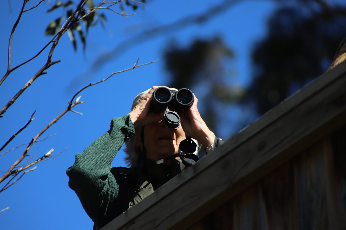 Tas_Land's tweet image. Over 100 people from our #community joined us for our co-hosted birding event with Inala Nature Tours on their beautiful property on South #BrunyIsland. Small flocks of #swiftparrots feeding on the ground &amp;amp; fluffy fledgling #fortyspottedpardalotes were 2 of the birding…