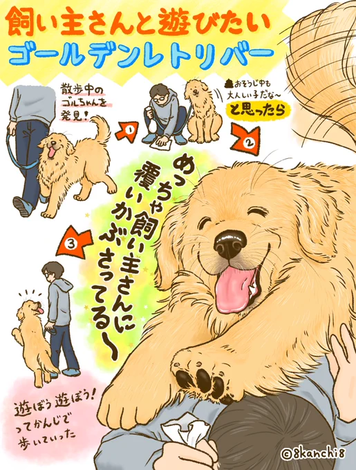 飼い主さんと遊びたいゴールデンレトリバー🐶 