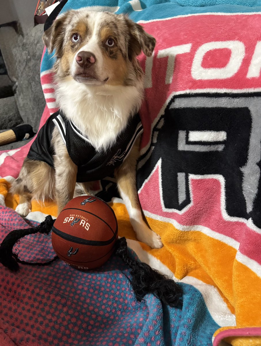 agonzalez133's tweet image. Azul can’t wait to watch the @spurs #spurspetofthemonth #spurs #spursnation #gospursgo🏀 @spurscoyote #spursfan #spursdog