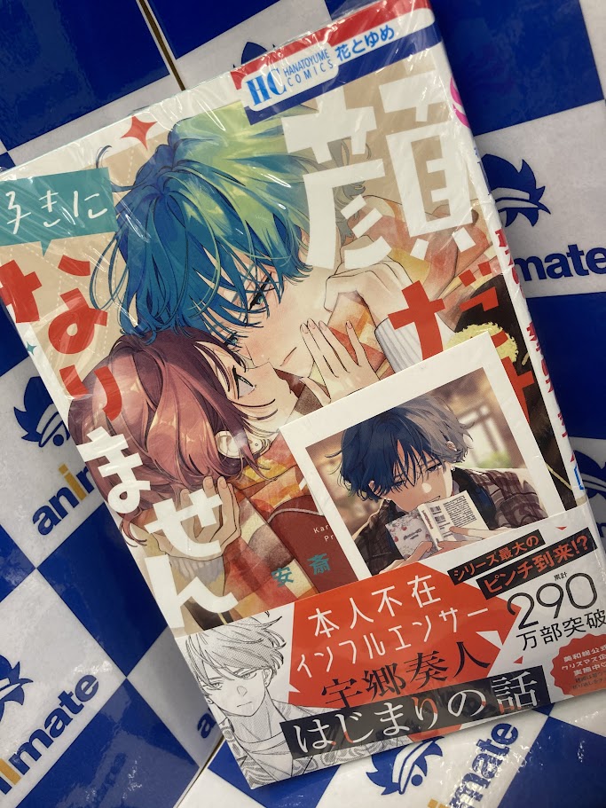 キミガシネ きみよん アニメイト特典 ┈┈┈┈┈┈┈┈┈ 🌿8