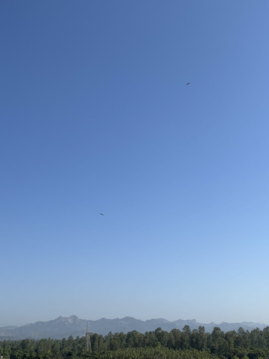 Adult Humour tweet media