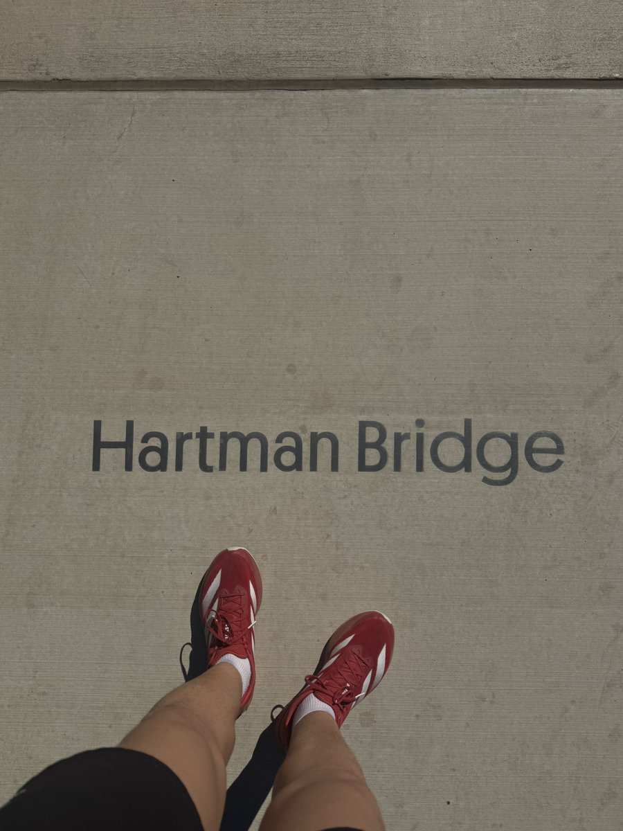 Mariooota's tweet image. 512