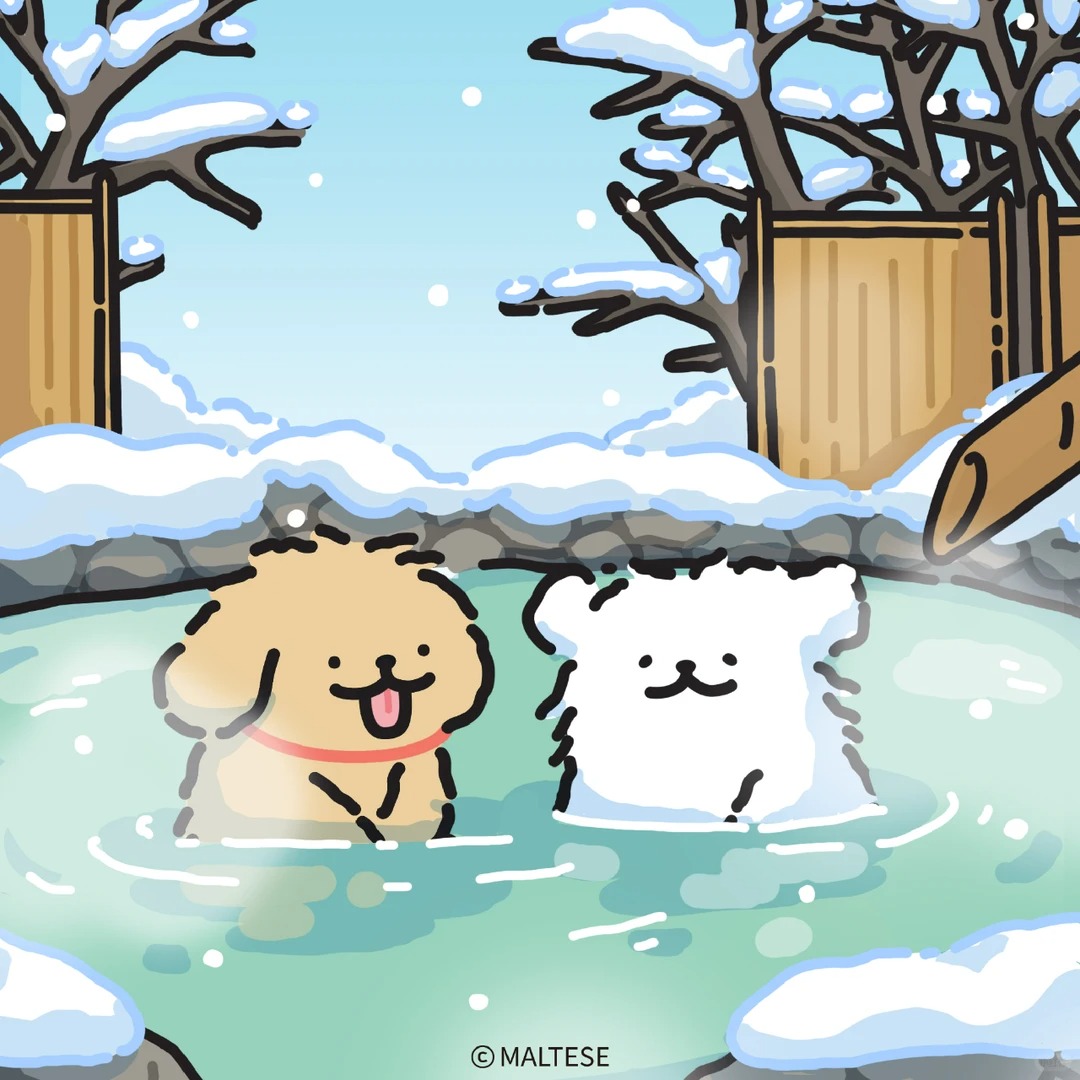Maltese_TH's tweet image. ✨ฤดูหนาวมาแล้ว✨
รีบมาเล่นให้เต็มที่กันเถอะ!

#Maltese #Retriever #MalteseLovers #มอลทีส #รีทรีฟเวอร์
#น้องหมา #หมามอลทีส #หมา #ทาสหมา #น่ารัก #สดใส #maltese #สุนัข