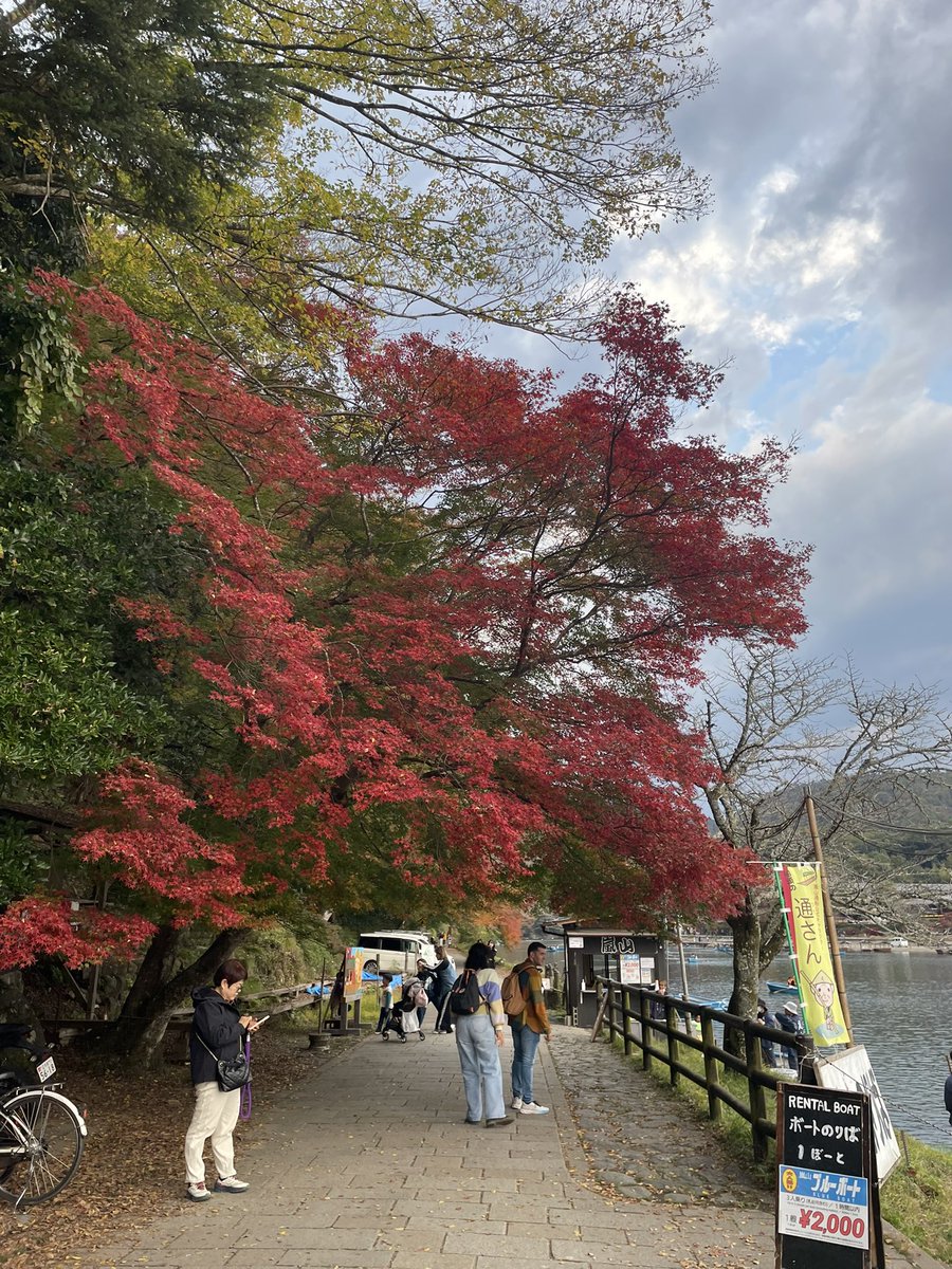 samechannnx's tweet image. 🍁