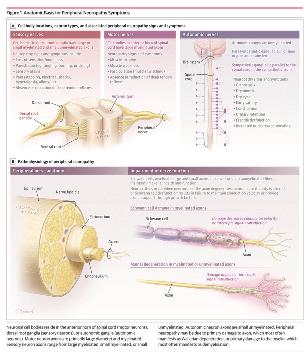 Dr.Mukesh , MD , DM tweet media