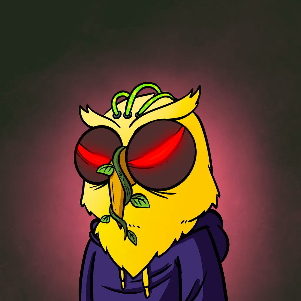 We_Are_RVR's tweet image. At RVR, we&apos;re also collecting cool projects 😎

here&apos;s a few:
@trekoutdoorco - built by the legendary @lauriew1995 - rewards coming soon
@BoredApe_FC - bet on sports results and win NFTs
@xrplwiseguys - strong rewards, big community
@rugglesxrp - win NFTs multiple times per week