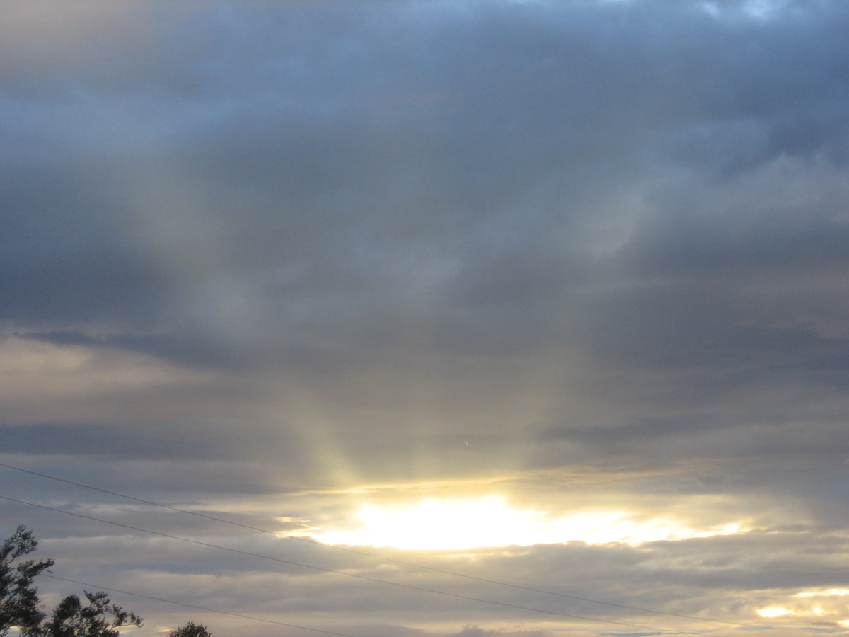 operatorihc's tweet image. 