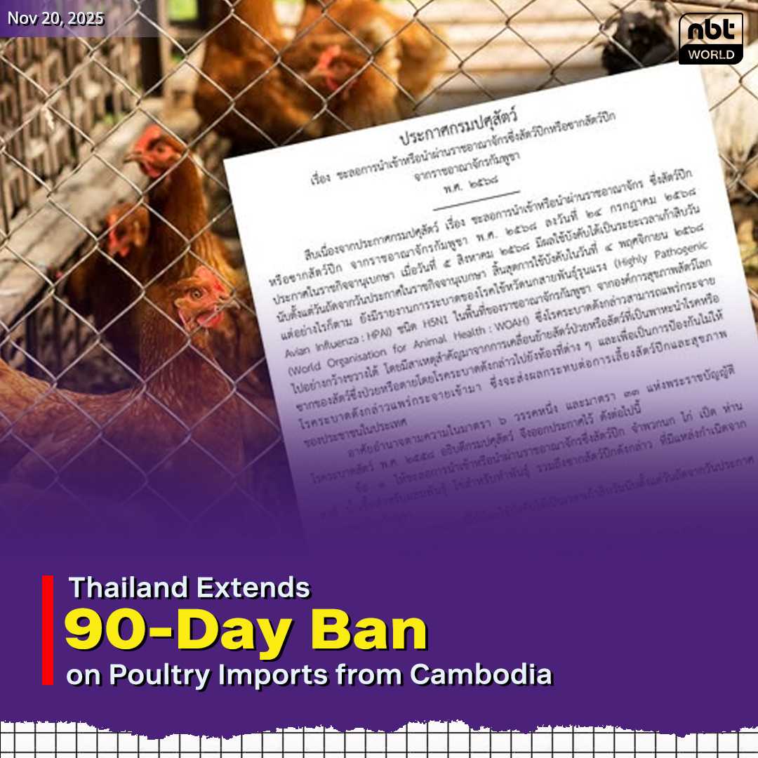 NBTWORLDNews's tweet image. Thailand has imposed a 90-day suspension on poultry and poultry carcass imports and transit from Cambodia.

See more: Facebook.com/nbtworld

#NBTWorld #TruthFromThailand #AvianFlu #H5N1 #LivestockDevelopment #BorderControls