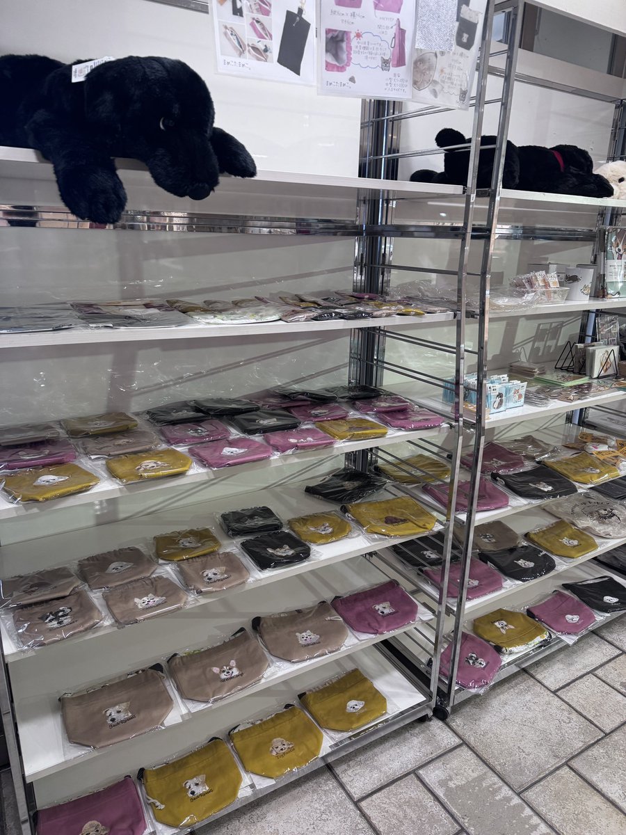 委託作家様のコーナーです
#吉祥寺いぬフェス