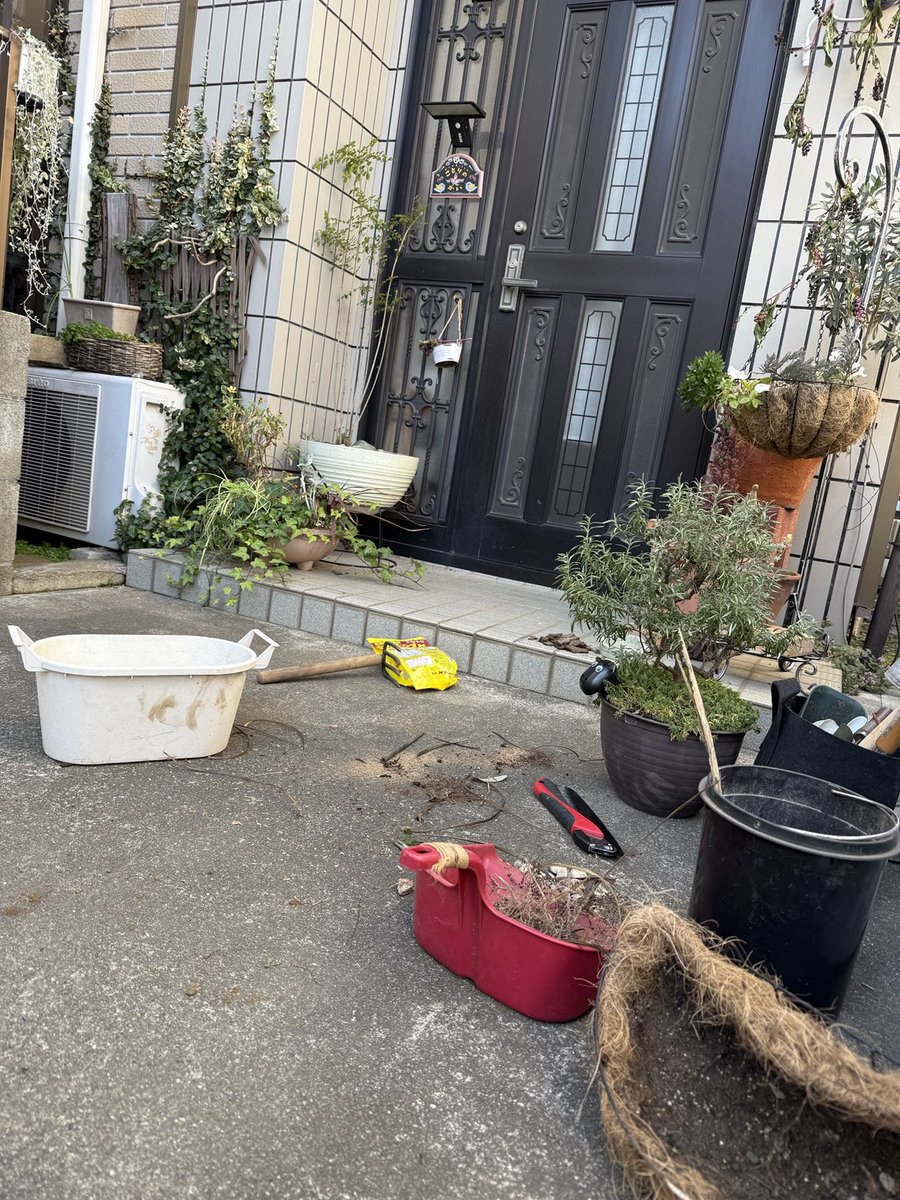 tocox's tweet image. グズグズした気持ちはふわふわの土を触って御破算にするよ*ˊᵕˋ*

#痛みのコントロール