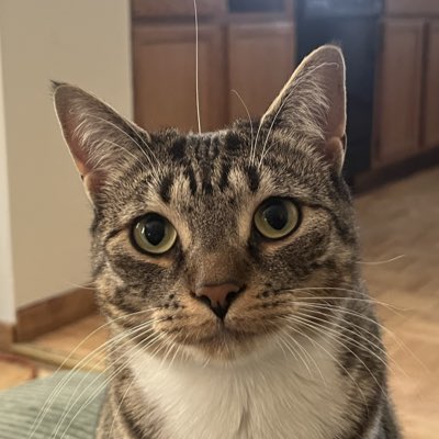 gav_cha's tweet photo. #NewProfilePic https://t.co/XiTpqZJOqf