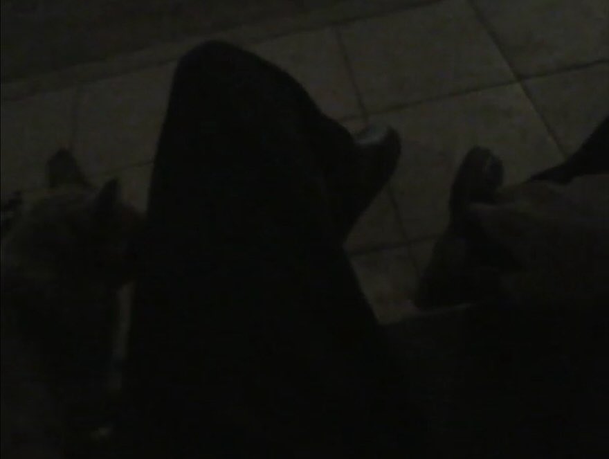 آرنس tweet media