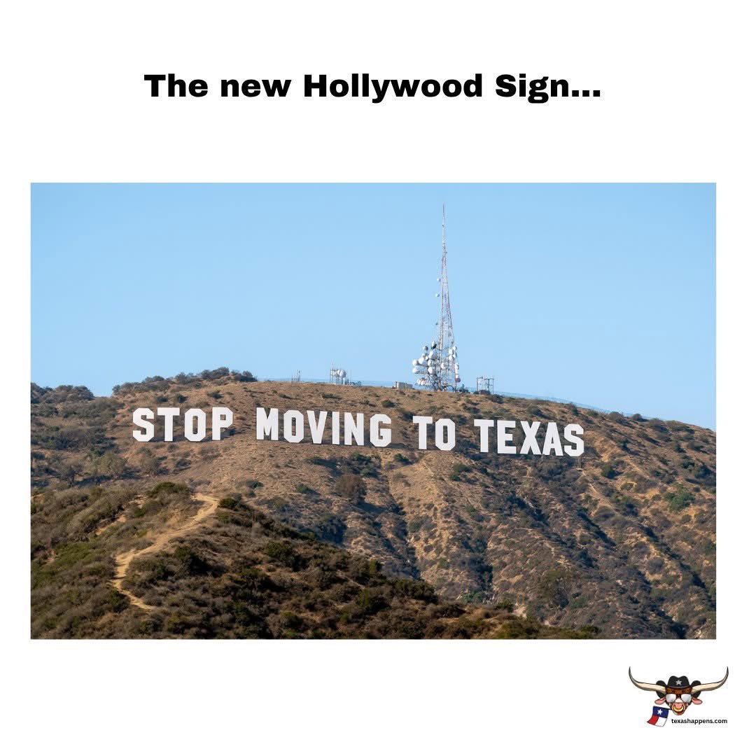 𝚃𝚑𝚎 𝙱𝚘𝚘𝚔𝚒𝚜𝚑 𝙱𝚊𝚋𝚎 (@_thebookishone) on Twitter photo 