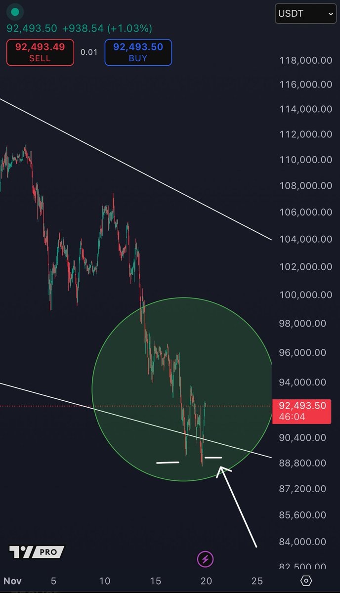 K A L E O tweet media