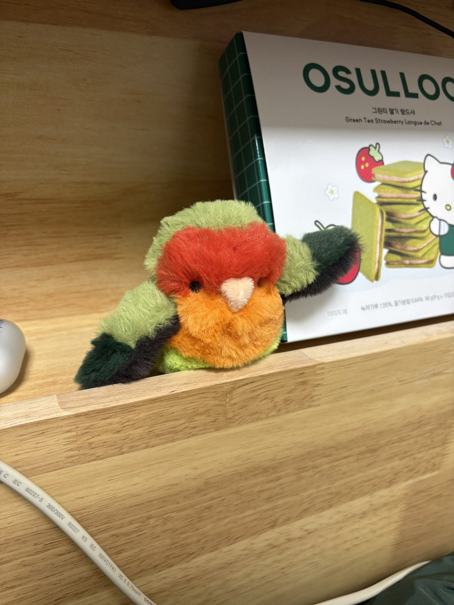 해피와 똑같은 아이를 찾아서 내곁에 둘까 고민도 많이했는데 ,, 그러면 제가 너무너무 힘들것같아서 조그마난 아가를 하나 데꾸왔네요 

아직도 해피같이 생긴 아가들만 보면 신나서 바로바로 구매하고있어요 ,, 저도 모르게 제맘은 많이많이 그립나봐요 ,, 보고싶댜 오늘도