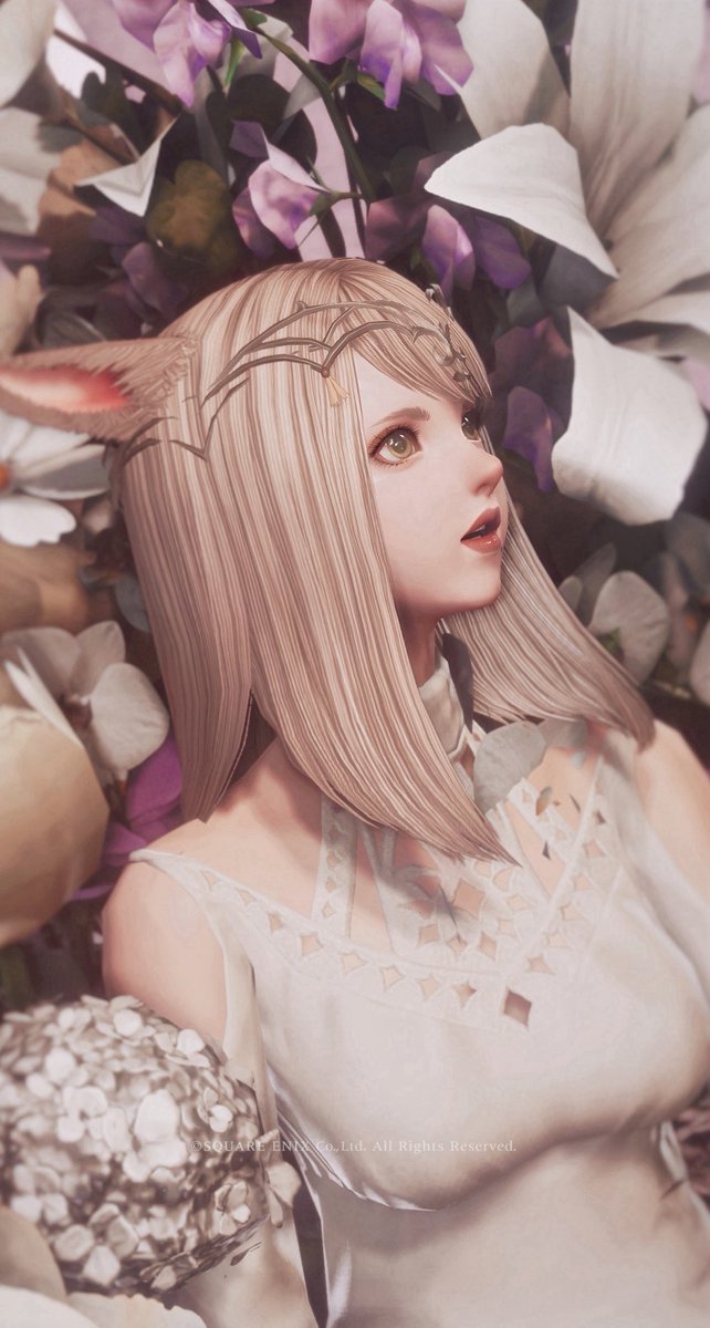 Sui (@catwalker007) / Posts / X