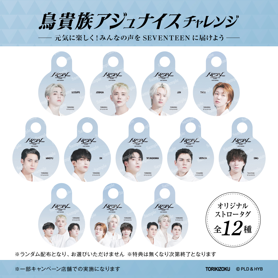 SEVENTEEN WORLD TOUR[NEW_]IN JAPAN CARAT BUNKASAI」との