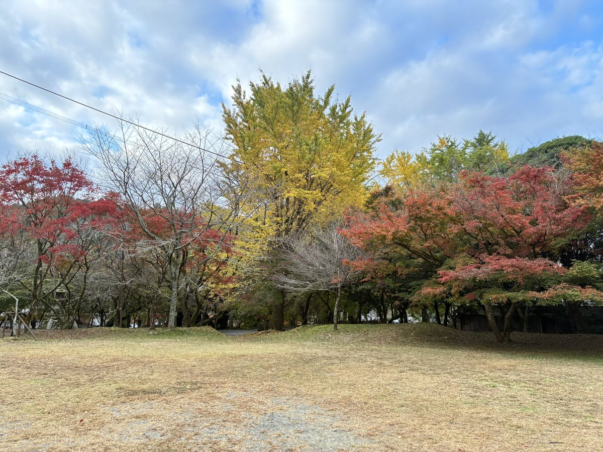 紅葉 情報🍁】#秋月城跡 黒門の紅葉は3割ほど色づきました。ただ、秋月