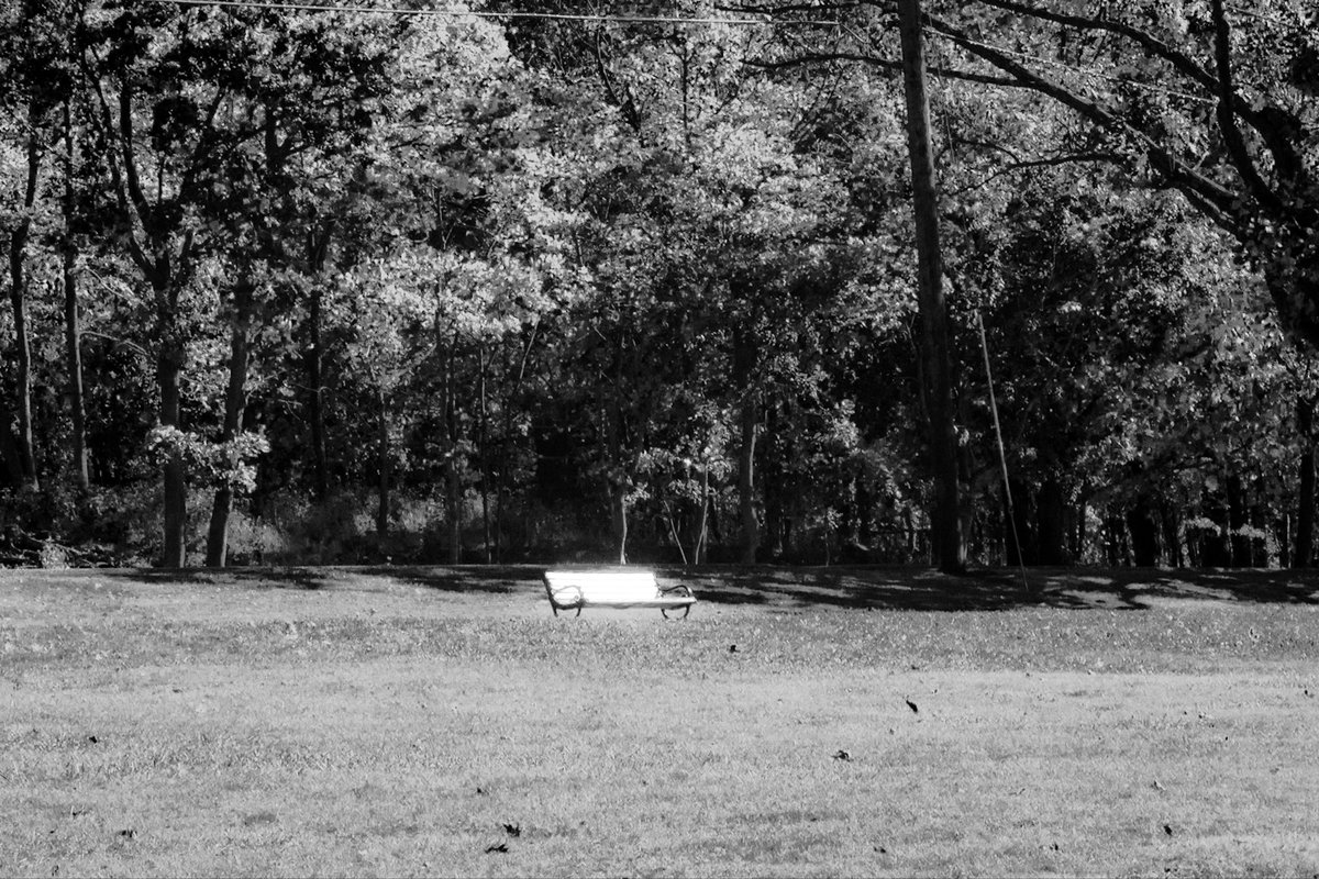 Shad ✵ tweet media