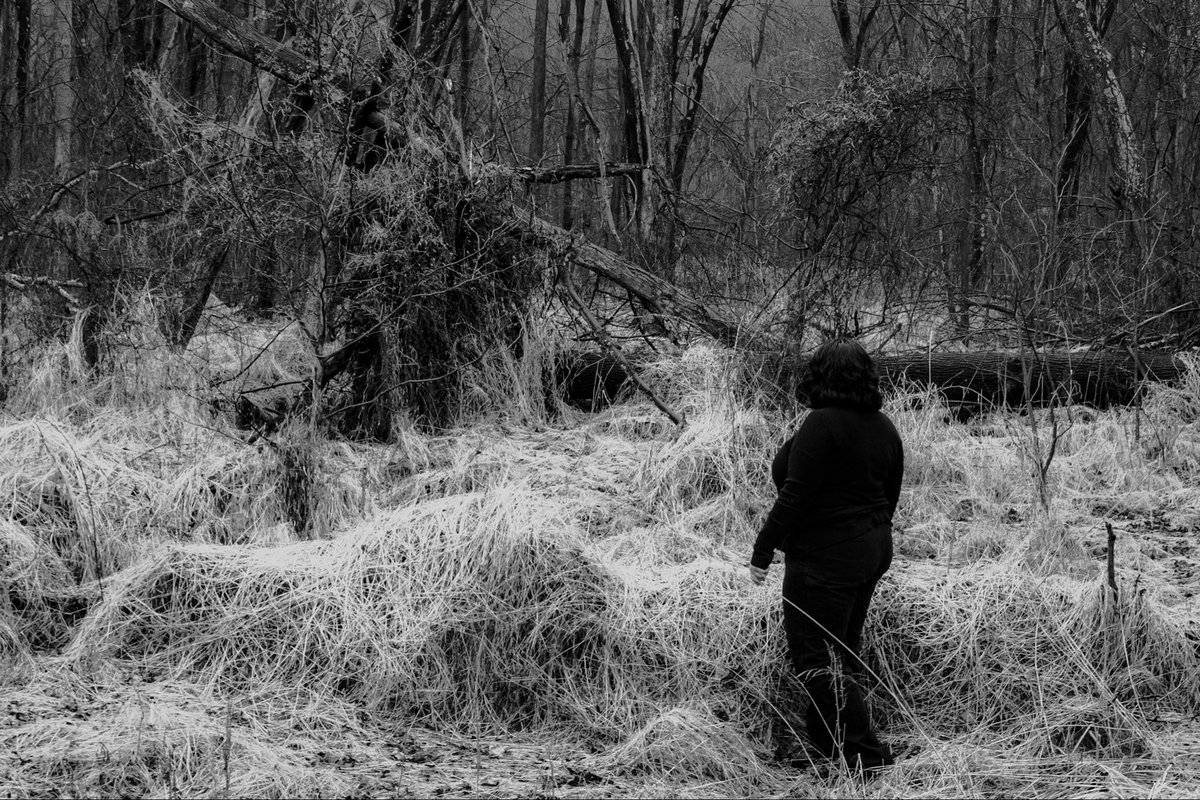 Shad ✵ tweet media