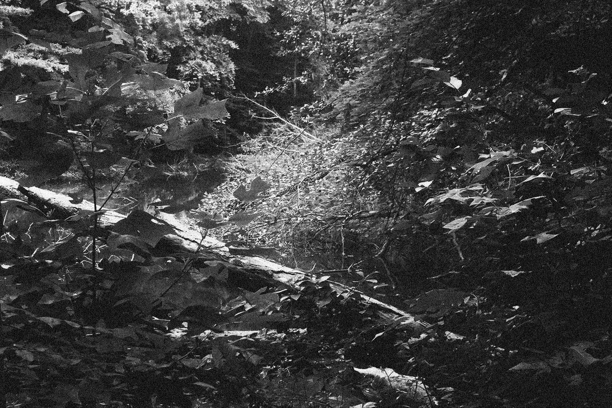 Shad ✵ tweet media