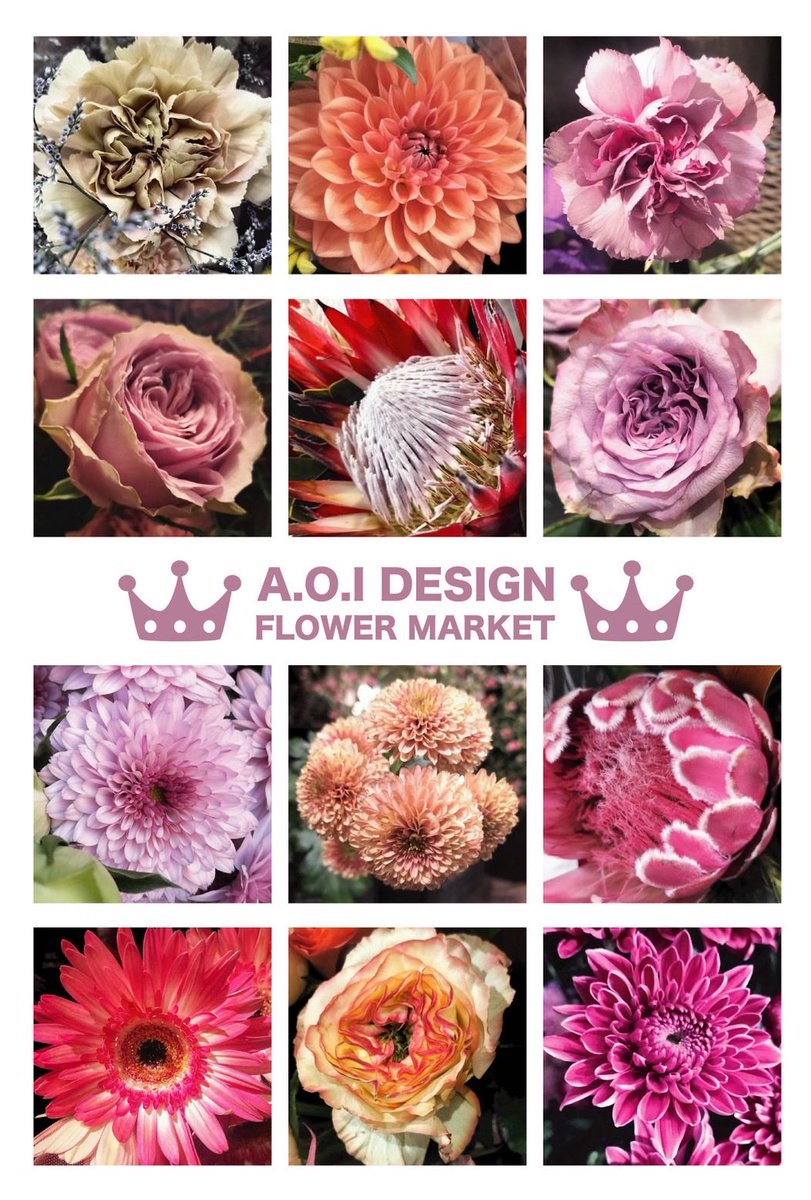 祝グランドオープン💐 今夜、歌う通販番組あります🎤🎸♪ 20:45~ツイキャス