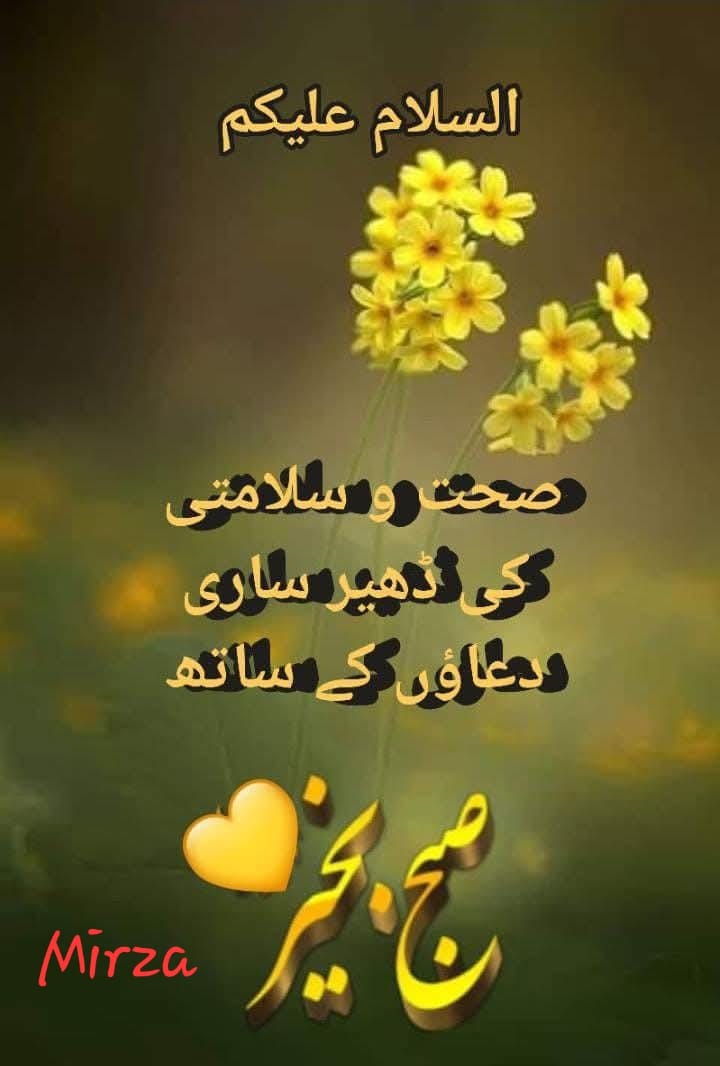 PICES1214's tweet image. السلام وعلیکم 
صبح بخیر 🌹 
*اللہ کے نزدیک بہترین انسان وہ ہے* 
*جس کا وجود دوسروں کے لیے فائدہ مند ہو*
*اللہ تعالی ہمیں لوگوں میں آسانیاں تقسیم کرنے کا شرف بخشے*
*آمین
#خان_کی_رہائی_آئین_کی_بقا 
@TM__SOW 
@PICES1214 
#خاتم_النبیین_محمدﷺّ