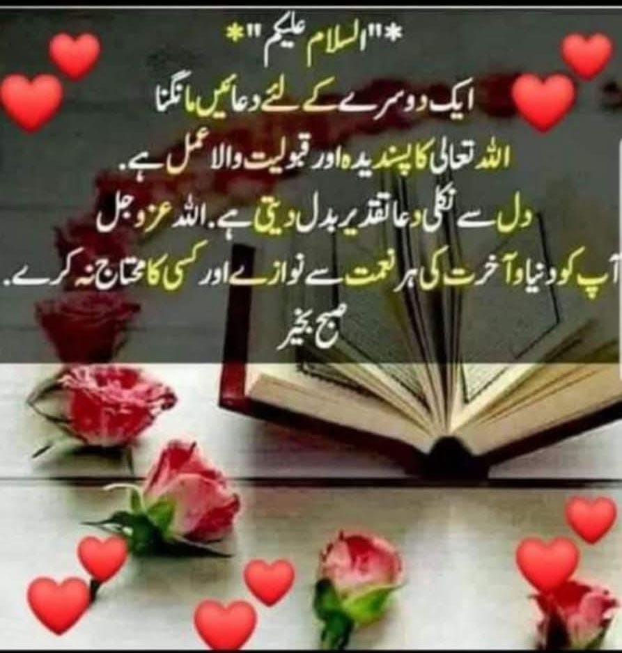 PICES1214's tweet image. السلام وعلیکم 
صبح بخیر 🌹 
*اللہ کے نزدیک بہترین انسان وہ ہے* 
*جس کا وجود دوسروں کے لیے فائدہ مند ہو*
*اللہ تعالی ہمیں لوگوں میں آسانیاں تقسیم کرنے کا شرف بخشے*
*آمین
#خان_کی_رہائی_آئین_کی_بقا 
@TM__SOW 
@PICES1214 
#خاتم_النبیین_محمدﷺّ