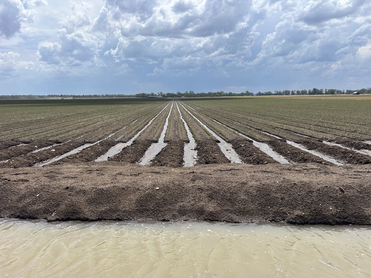 Don’t mind these invisible syphons at all, especially when I can automate the next shift to change as this storm comes in