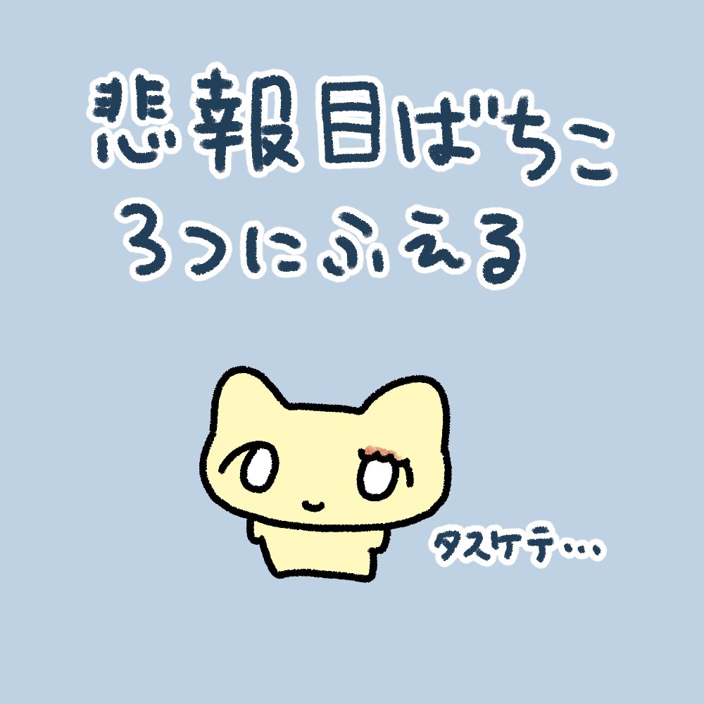 ねこちゃん (@nekochan3232) / Posts / X