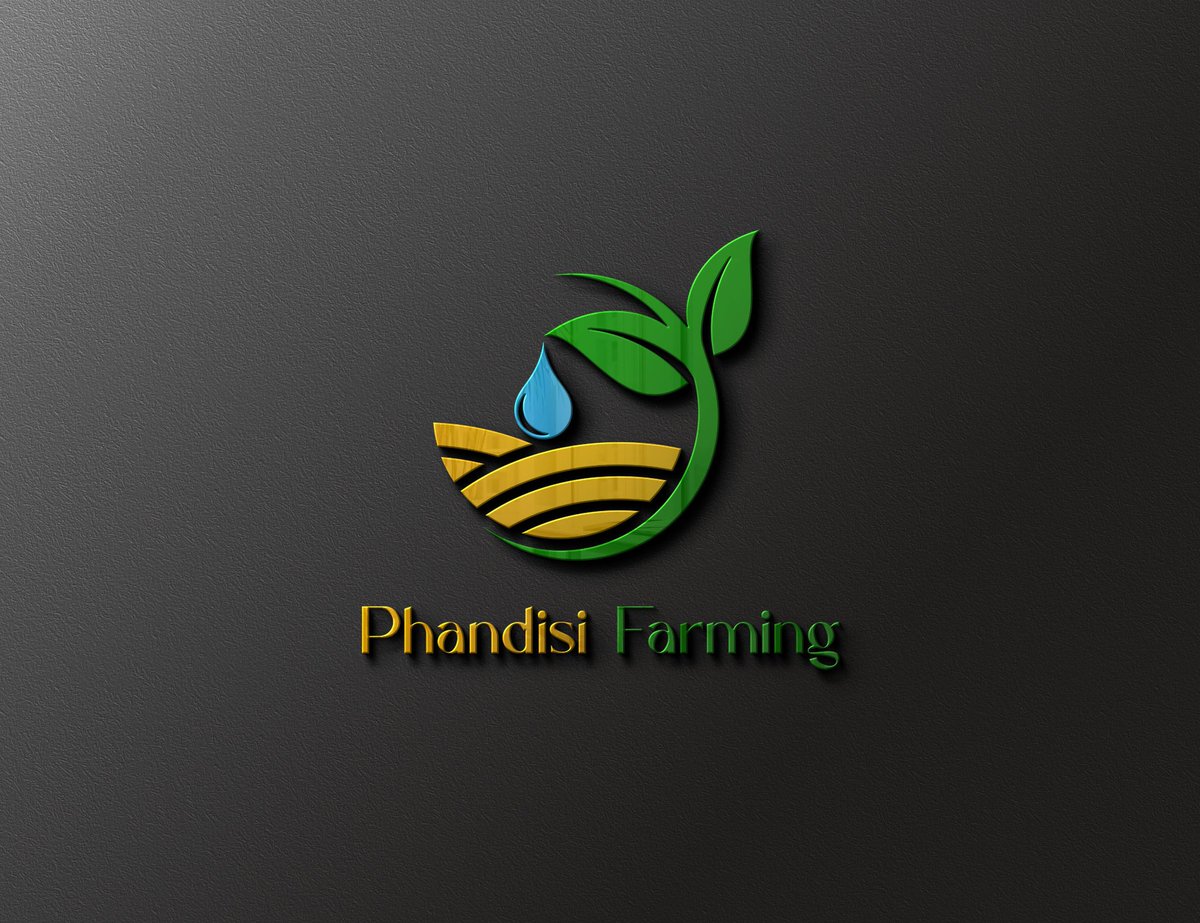 Premium Quality Designs 👌 ✅️
Let's Amplify Your Brand 🔥💯
Logo Design |Business Profile 
Business Plan |Corporate Flyer 
Magazine Design|Product Catalog 
We Design It All...Contact Us On 
admin@bmpudumosolutions.com
+27737832462|+27685580857
#GraphicDesign #GraphicDesigner