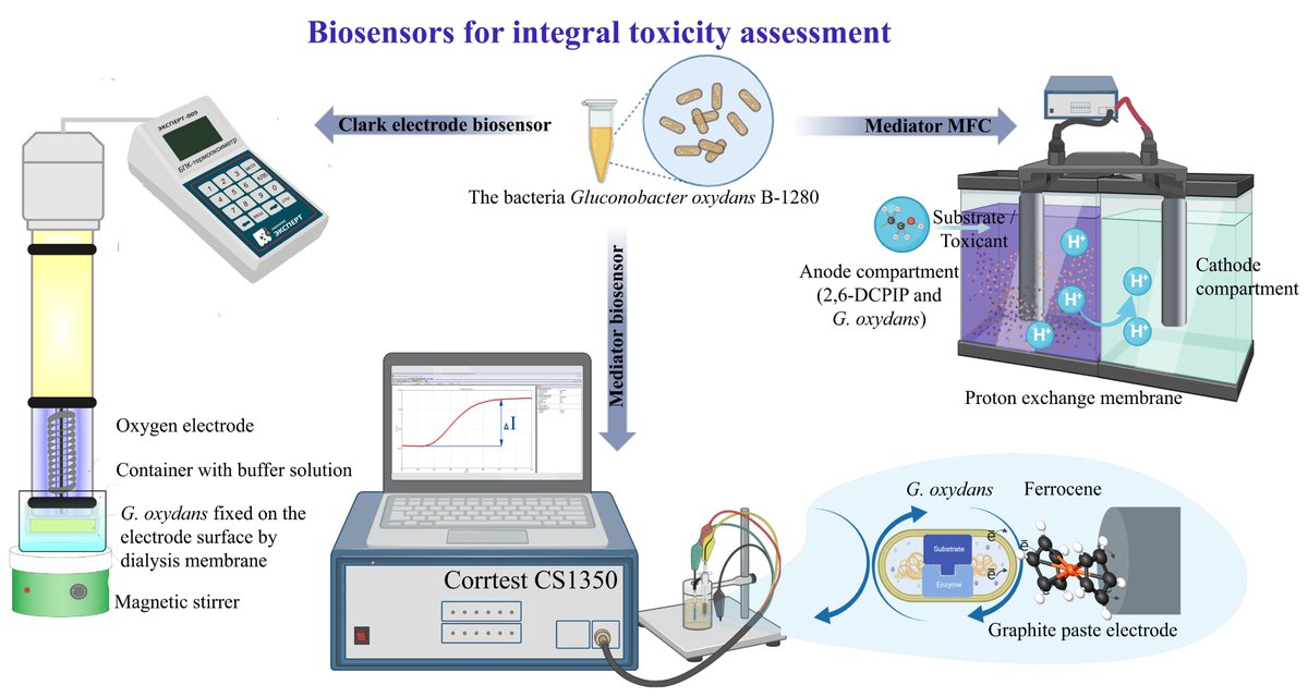 Biosensors_MDPI's tweet image. 📣Call for Reading:

#Article
Electrochemical Biosensors for Express Analysis of the Integral Toxicity of Polymer Materials

by Natalia Yu. Yudina, et al.

mdpi.com/2079-6374/13/1…

#toxicity #polymer #MicrobialBiofuelCell #MBC
#biosensors #mdpi #openaccess