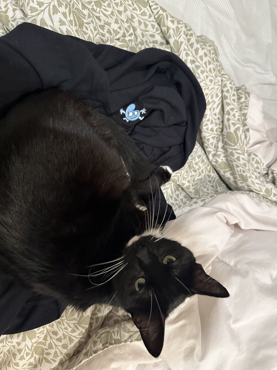 Florence (@freoncat) on Twitter photo 