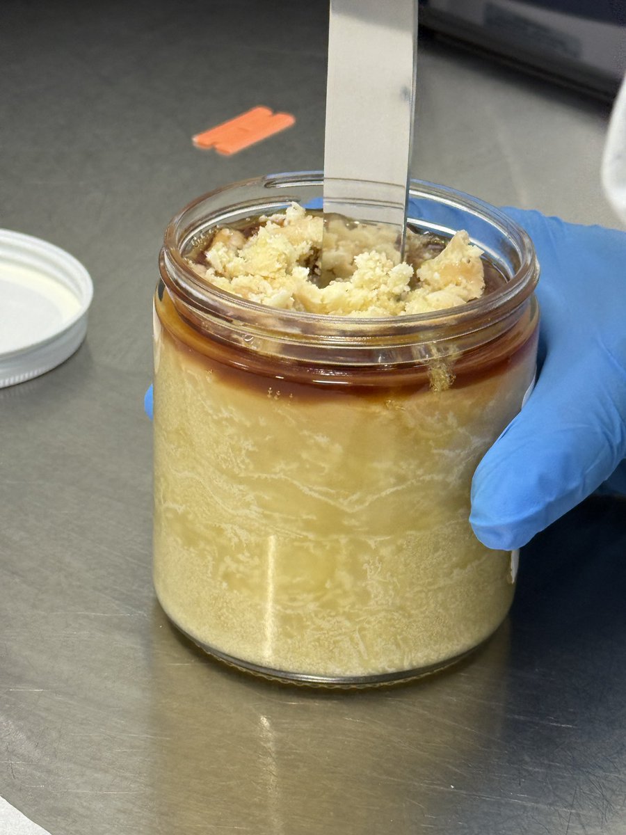 Time to whip the Live Hash Rosin