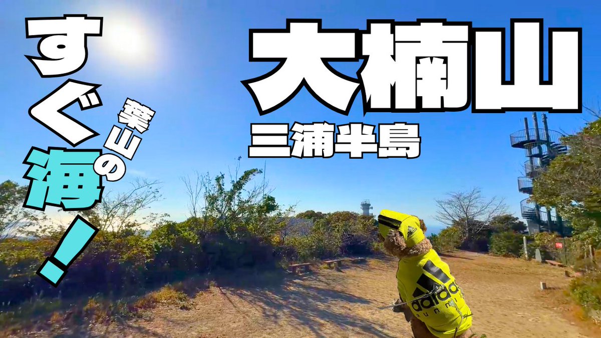 baa294's tweet photo. 【犬と登山】大楠山からの～海も楽しめる最高の山登りでした！

https://t.co/I7KP3KxFO7

三浦半島の大楠山に登ってきました。
標高は高くないけれどなかなか登りごたえのある山でした。
そして下山したらすぐ近くの葉山の海も満喫できるという
最高のロケーション！

よろしければご覧ください。 https://t.co/cxNn8VQVrJ