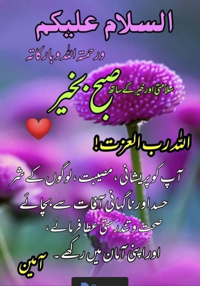 Angra_804's tweet image. ﷽
السلام علیکم ورحمتہ اللہ وبرکاتہ🌹
#درود_وسلام

اللہ آپکوآقا #خاتم_النبیین_محمدﷺ کی کامل اتباع نصیب فرمائے روزمحشر عرش کا سایہ نصیب فرمائےآمین

💖فِدَاکَ اَبِیْ وَاُمِّیْ وَرُوْحِیْ وَقَلْبِیْ یَاسَیِّدِیْ یَارَسُوْلَ اللّٰه💖

💕♡🍃םבםבﷺ🍃♡💕
1