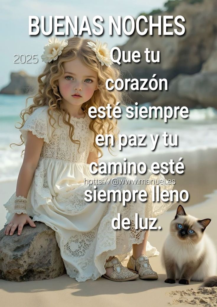 Arlindo Ferreira tweet media