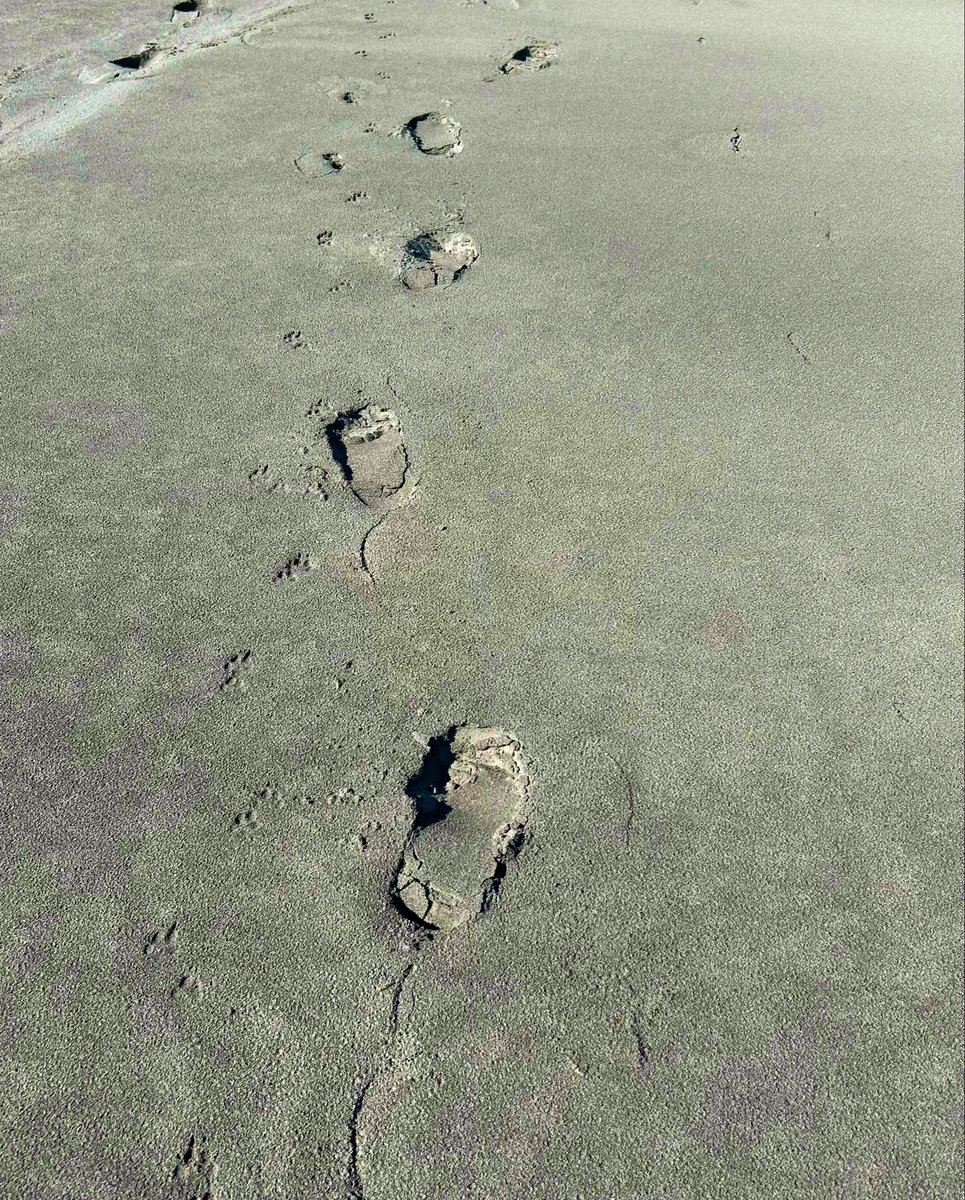 今天十一月十九日，星期三。下來大西洋越海邊走走。🤔清靜地思考；這些華左在中國活不好才跑出來西方，在西方活不下去就仇恨西方，又放不下身段好好工作，他們太可憐了…以後少罵他們😜😅🤭