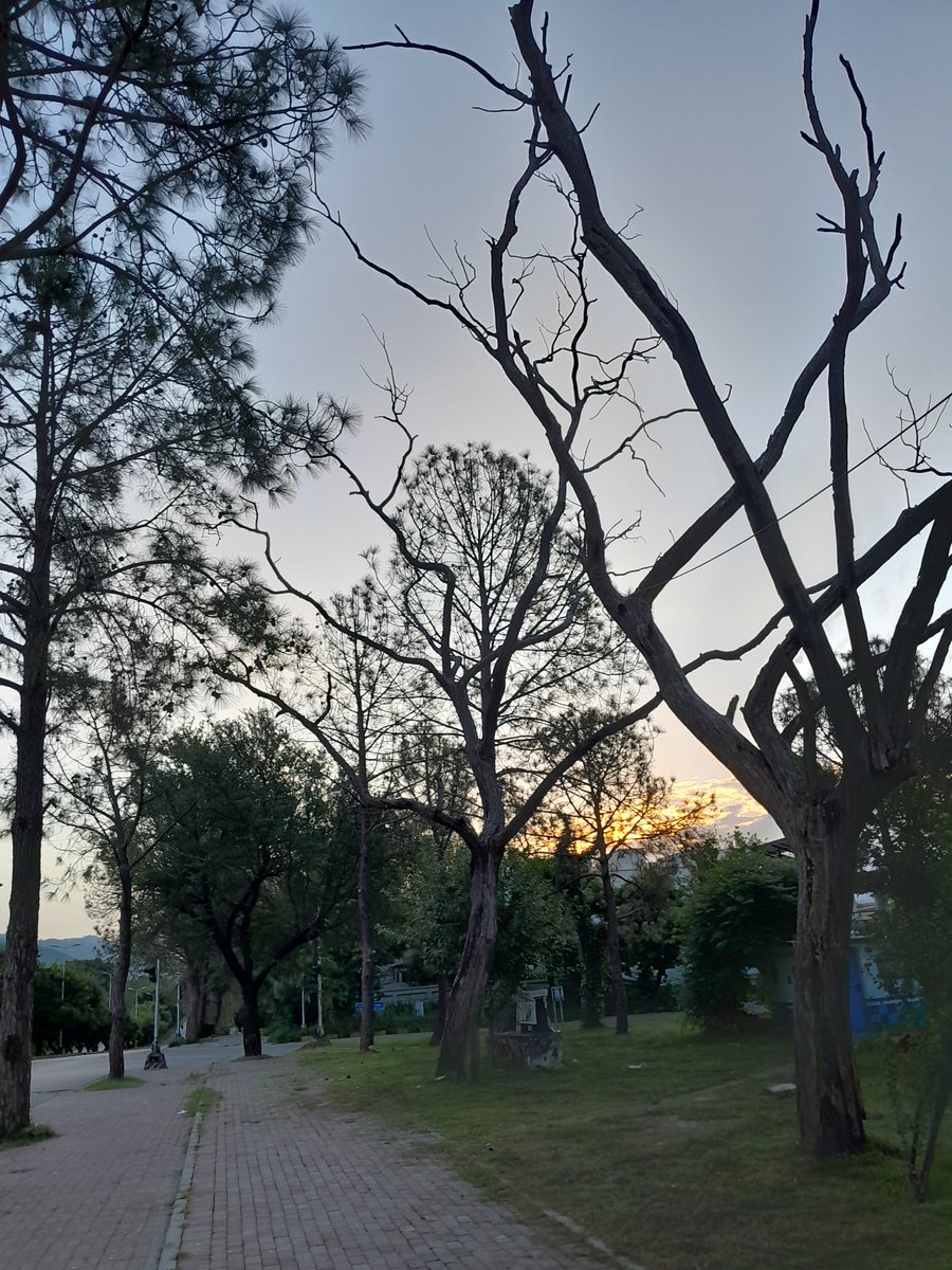 Some places don’t just take your breath away—they give you a new one.
In the right place, every moment feels like a little piece of heaven.