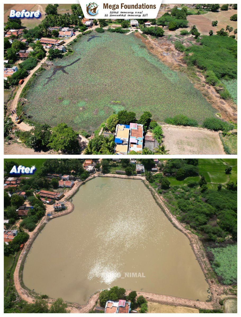 being_nimal's tweet image. புதுக்கோட்டை மாவட்டம் ஆவுடையார்கோவில் வட்டம் பொய்யாதநல்லூர் குளம் சீரமைக்கும் முன் மற்றும் பின் எடுத்த படங்கள்.

இந்த குளத்தினில் இருந்த ஆகாய தாமரையை அகற்றி, தண்ணீரை சுத்தப்படுத்தி விவசாய நிலங்களுக்கு பயண்படுத்திய பிறகு இந்த குளத்தை தூர்வாரி, கரைகள் அமைத்து, வரத்து வாரியனை…